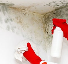 How To Remove Mold From Sheetrock