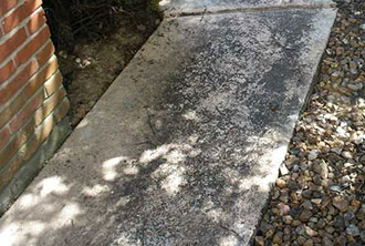 Removing Black Mold from Concrete Patio, Basement, Floor or Wall