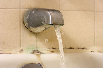 How To Get Rid Of Black Mold In Bathroom