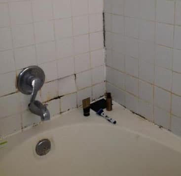 how to remove black mold from bathroom and shower tiles