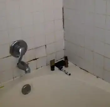 How To Get Rid Of Black Mold In Bathroom