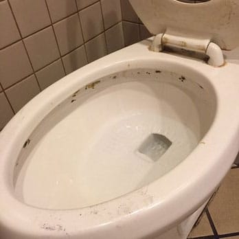 black mold toilet tank