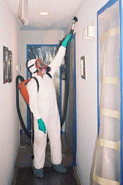 cleaning black mold