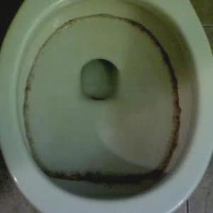 black mold in toilet bowl