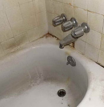 black mold in bathtub