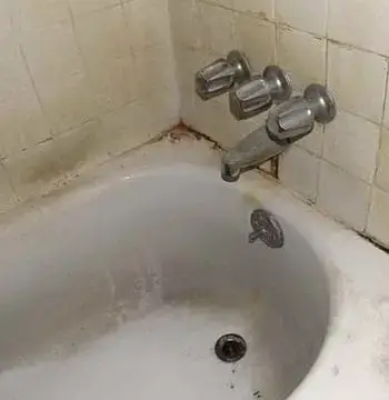 How To Remove Black Mold From Bathtub
