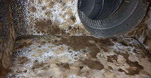 black mold in air ducts