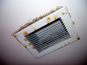 air and duct cleaning services