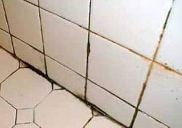 clean bathtub grout mold