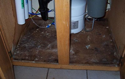 How to get rid of Black Mold under Kitchen Sink or in Cabinets