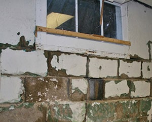 black mold concrete basement removal