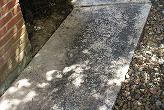 black mold concrete patio