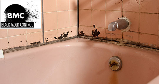 bathtub mold removal