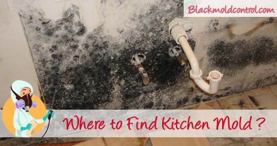 How To Get Rid Of Black Mold Under Kitchen Sink Or In Cabinets