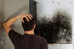 How To Get Rid Of Black Mold Under Kitchen Sink Or In Cabinets