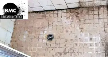 How To Remove Mold From Grout Shower And Kitchen